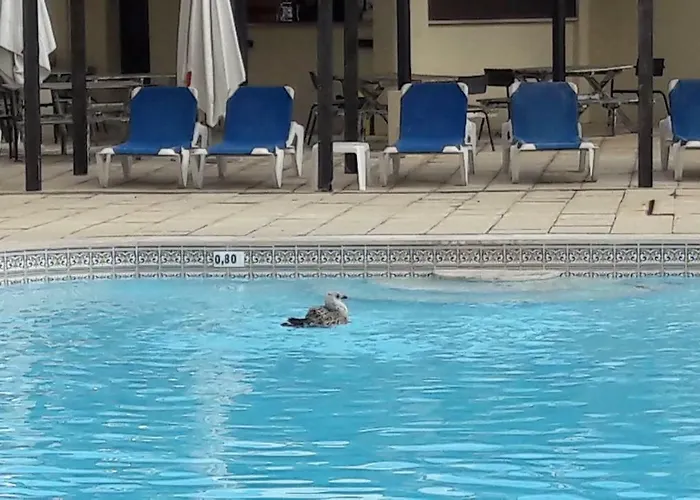 Bela Vista Апартаменти *